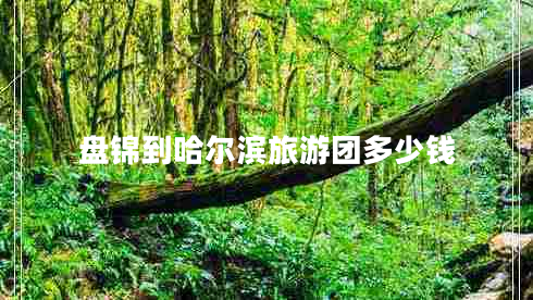 盤錦到哈爾濱旅游團(tuán)多少錢