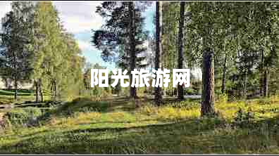 陽光旅游網(wǎng)