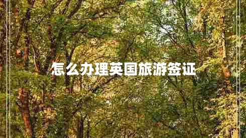 怎么辦理英國(guó)旅游簽證