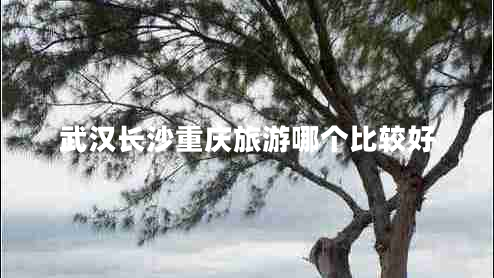 武漢長沙重慶旅游哪個(gè)比較好