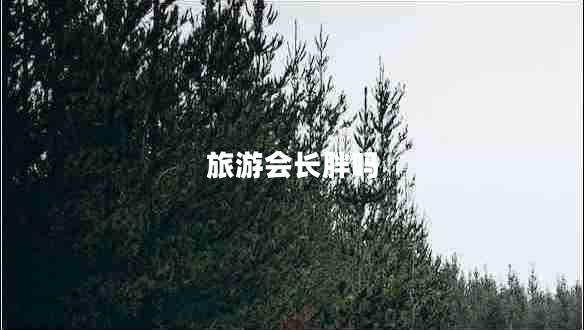 旅游會(huì)長(zhǎng)胖嗎