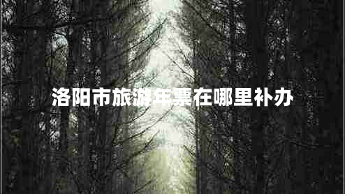 洛陽市旅游年票在哪里補(bǔ)辦