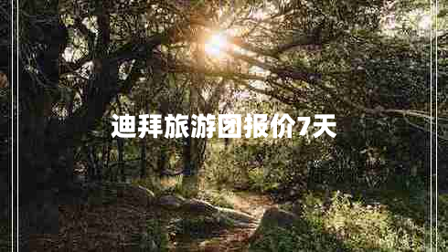 迪拜旅游團(tuán)報(bào)價(jià)7天