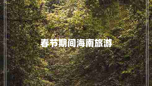 春節(jié)期間海南旅游