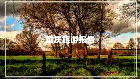 重慶旅游報(bào)告