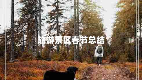 旅游景區(qū)春節(jié)總結(jié)
