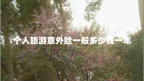 個(gè)人旅游意外險(xiǎn)一般多少錢一年