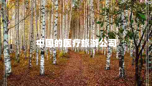 中國的醫(yī)療旅游公司