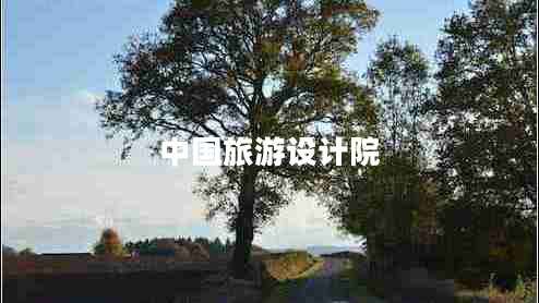 中國旅游設(shè)計(jì)院