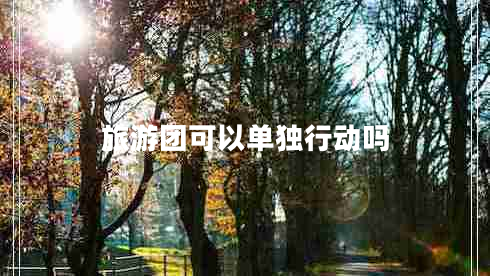 旅游團可以單獨行動嗎