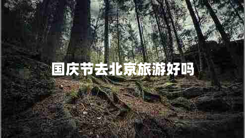 國慶節(jié)去北京旅游好嗎