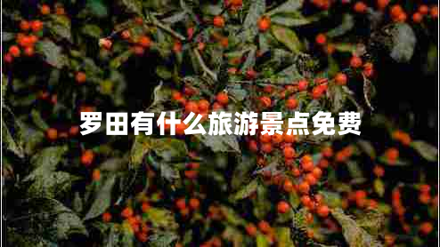 羅田有什么旅游景點(diǎn)免費(fèi)