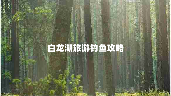 白龍湖旅游釣魚攻略