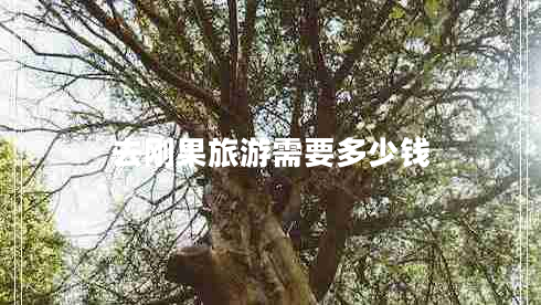 去剛果旅游需要多少錢(qián)