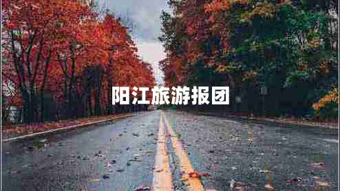 陽江旅游報團