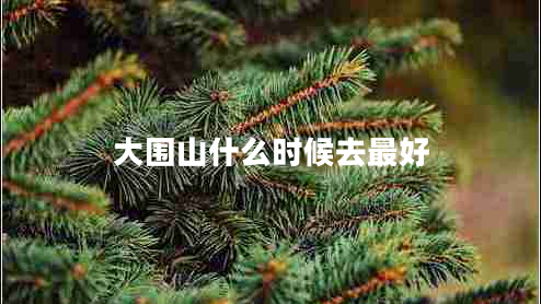大圍山什么時候去最好