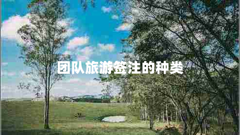 團(tuán)隊(duì)旅游簽注的種類(lèi)
