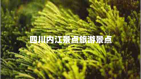 四川內江景點旅游景點