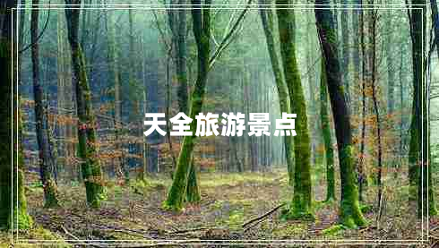 天全旅游景點
