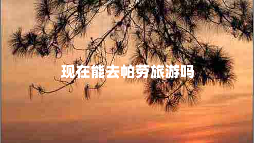 現(xiàn)在能去帕勞旅游嗎