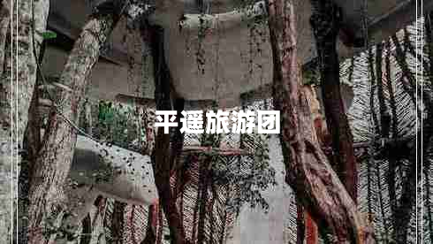 平遙旅游團(tuán)