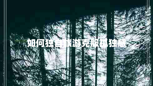 如何獨(dú)自旅游克服孤獨(dú)感