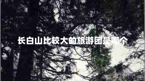 長白山比較大的旅游團(tuán)是哪個(gè)
