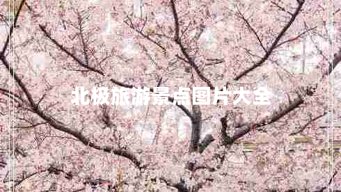 北極旅游景點圖片大全