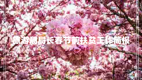 旅游局局長(zhǎng)春節(jié)前扶貧工作簡(jiǎn)報(bào)