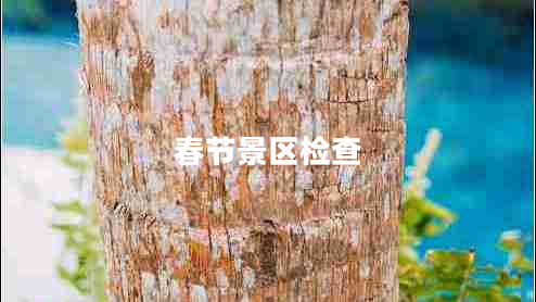春節(jié)景區(qū)檢查