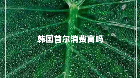 韓國(guó)首爾消費(fèi)高嗎