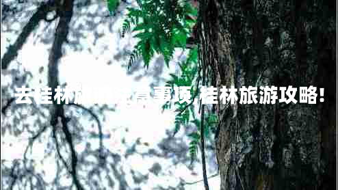 去桂林旅游注意事項(xiàng),桂林旅游攻略!