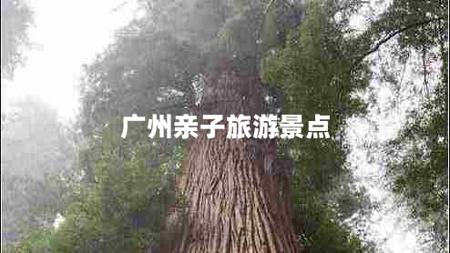 廣州親子旅游景點