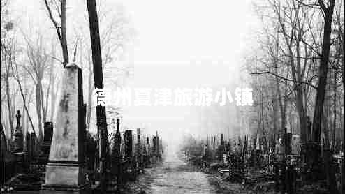 德州夏津旅游小鎮(zhèn)