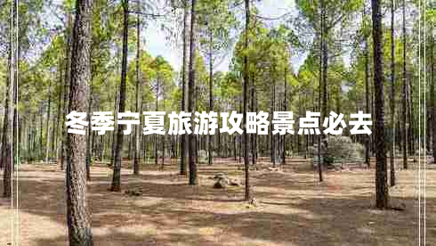 冬季寧夏旅游攻略景點必去