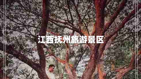 江西撫州旅游景區(qū)
