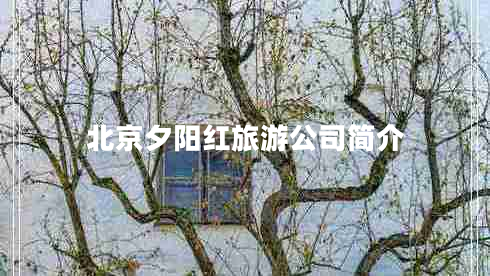 北京夕陽紅旅游公司簡介