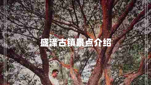 盛澤古鎮(zhèn)景點介紹
