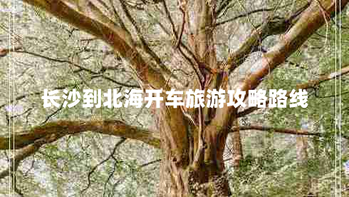 長沙到北海開車旅游攻略路線