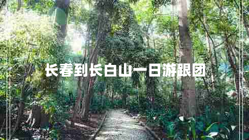 長春到長白山一日游跟團(tuán)