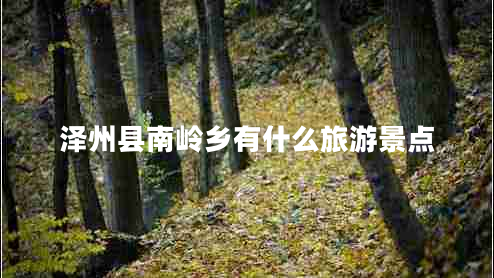 澤州縣南嶺鄉(xiāng)有什么旅游景點(diǎn)