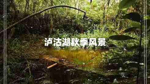 瀘沽湖秋季風景