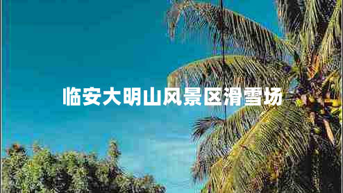 臨安大明山風(fēng)景區(qū)滑雪場(chǎng)