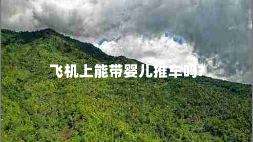 飛機(jī)上能帶嬰兒推車嗎?