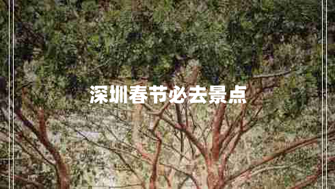 深圳春節(jié)必去景點(diǎn)
