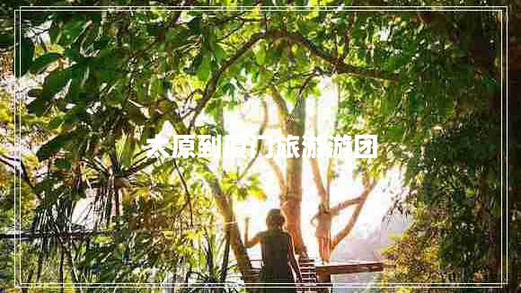 太原到廈門旅游游團(tuán)