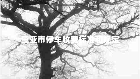 三亞市停車收費標準和規(guī)定