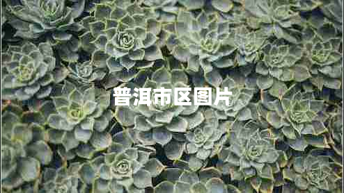 普洱市區(qū)圖片