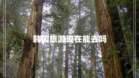 韓國(guó)旅游現(xiàn)在能去嗎