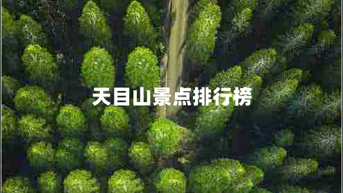天目山景點排行榜